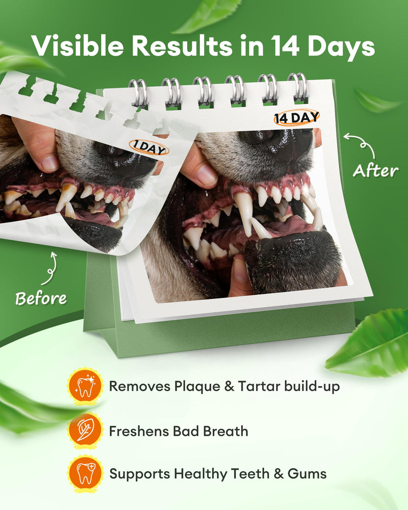Dog Teeth Cleaning Powder,Dog Breath Freshener with Probiotics for Targets Tartar & Bad Breath,Dog Dental Powder for Teeth Cleaning of All Breeds,180g(6.35 oz) - Made in USA 6.35 Ounce (Pack of 1)