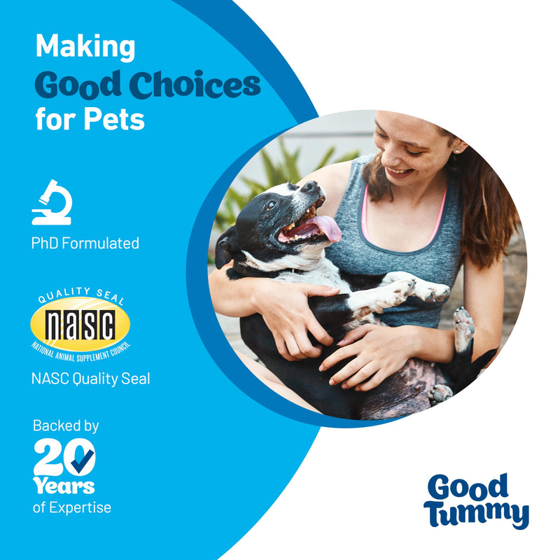 Good Tummy Probiotic Chews for Dogs – Supports Digestive Health, Controls Gas, Promotes Healthy Immune Function – Beef Flavor, 60 Soft Chews