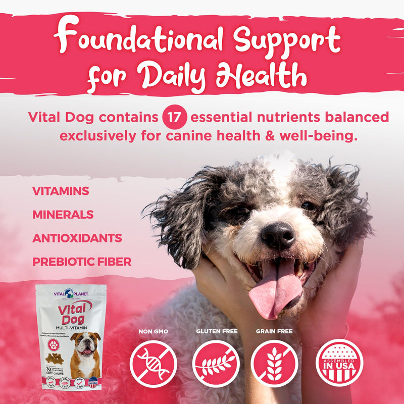 Vital Planet - Vital Dog Multivitamin for Everyday Health with Vitamins, Minerals and Antioxidants - 30 Bacon Flavored Soft Chews - PawsPlanet Australia