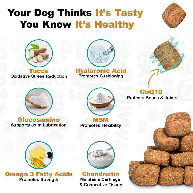 Doggie Dailies, Hip and Joint Supplement for Dogs, Glucosamine Chondroitin, Premium Hip and Joint Chews for Dogs All Breeds & Sizes, Dog Vitamins and Supplements, (Peanut Butter) 225 Chews Peanut Butter - 225 Count