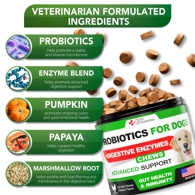 Probiotics for Dogs - Dog Probiotics and Digestive Enzymes for Gut Health, Itchy Skin, Allergies, Immunity, Yeast Balance - Prebiotics - Reduce Diarrhea, Gas - 120 Probiotic Chews Supplement for Dogs 120 Chews