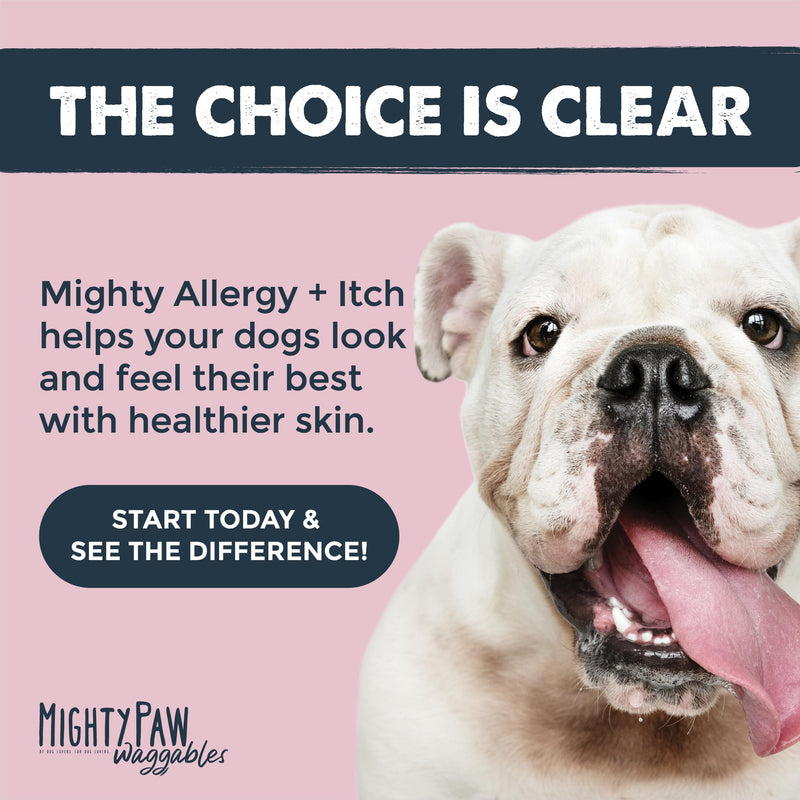 Mighty Paw Waggables Allergy Immune + Itch (Made in The USA) -Dog Chews Anti-Itch for Dogs. Allergy Support Vitamins for Skin and Coat Allergies. Omega 3 & Quercetin for Pets 120 Ct Allergy Chews - PawsPlanet Australia