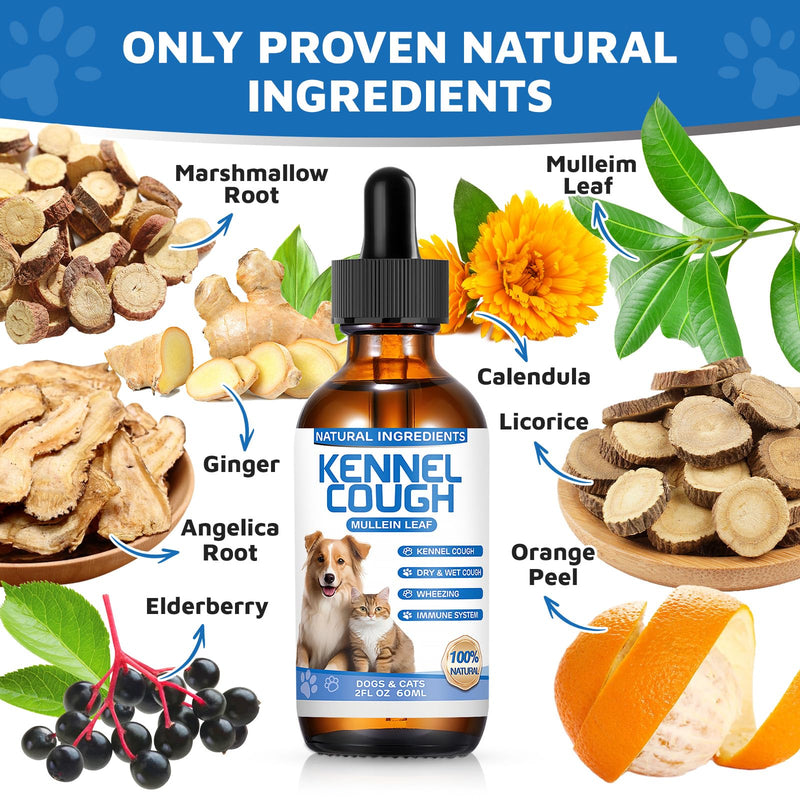 Kennel Cough Herbal Drops for Dogs & Cats,Dog Cough Treatment,Dog Cough Suppressant,Kennel Cough for Dogs,Coughing Treatment Liquid,Natural Cough Supplement for Cat 2 fl oz -Pack of 2 2 fl oz, 2-pack