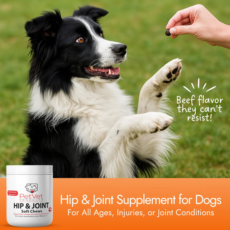 Dog Hip and Joint Supplement - Glucosamine for Dogs (Beef Liver, 60 Chews) - Dog Joint Supplement with MSM, Chondroitin, Vet Approved Dog Vitamins -Mobility Joint Pain Supplements Hip & Joint
