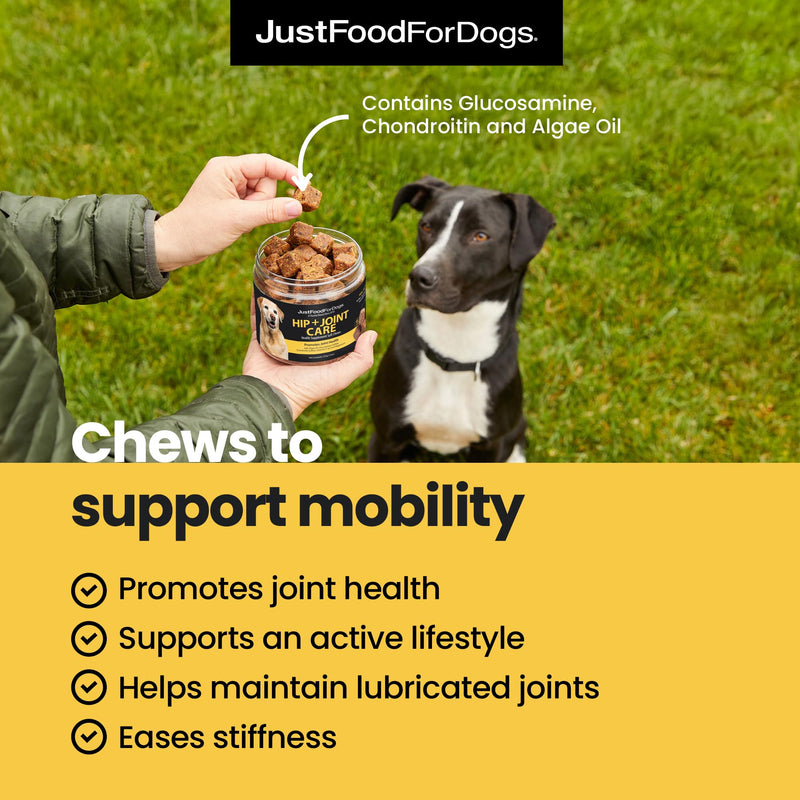 JustFoodForDogs Hip and Joint Supplement for Dogs, Human Grade Glucosamine Chondroitin Dog Supplements, Multivitamin Soft Chews, Omega 3 Oil, Superfood Blend, Plant Based Dog Vitamins - 45 Count Hip + Joint Care
