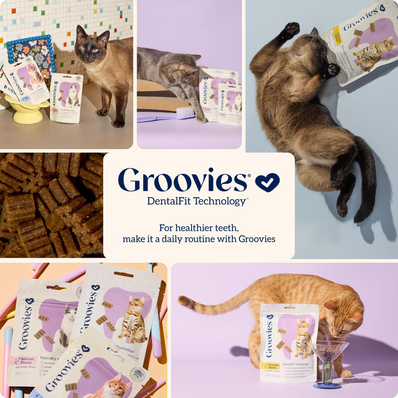 Groovies Cat Daily Dental Treats. Tasty, Crunchy Bites Cats Love. Powered by USA-Patented DentalFit Tech. No Gluten or Artificial Flavors or Colors. 1.76oz Each bag - (2 pack) of (1)Salmon & (1)Tuna Salmon & Tuna 1.76 Ounce (Pack of 2)