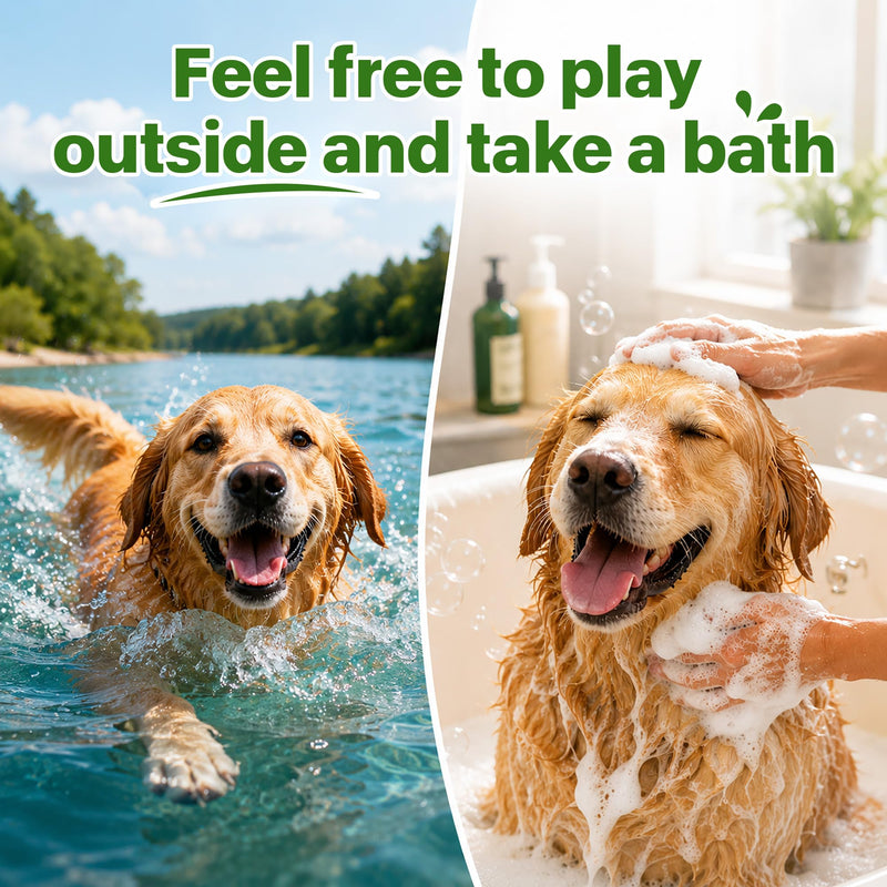 Flea and Tick Prevention for Small Dogs, Waterproof Topical Dog Flea and Tick Fast-Acting at Home, 6 Doses Control for Dogs 5-22 lbs