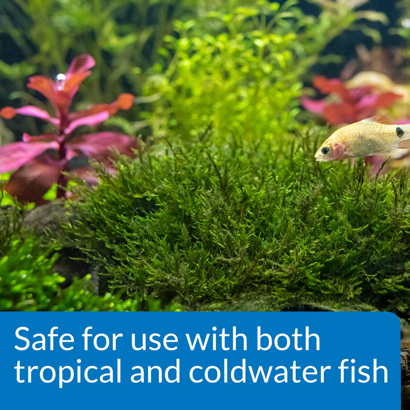 API ROOT TABS Freshwater Aquarium Plant Fertilizer 0.4-Ounce 10-Count Box 10 Ct (Pack of 1)