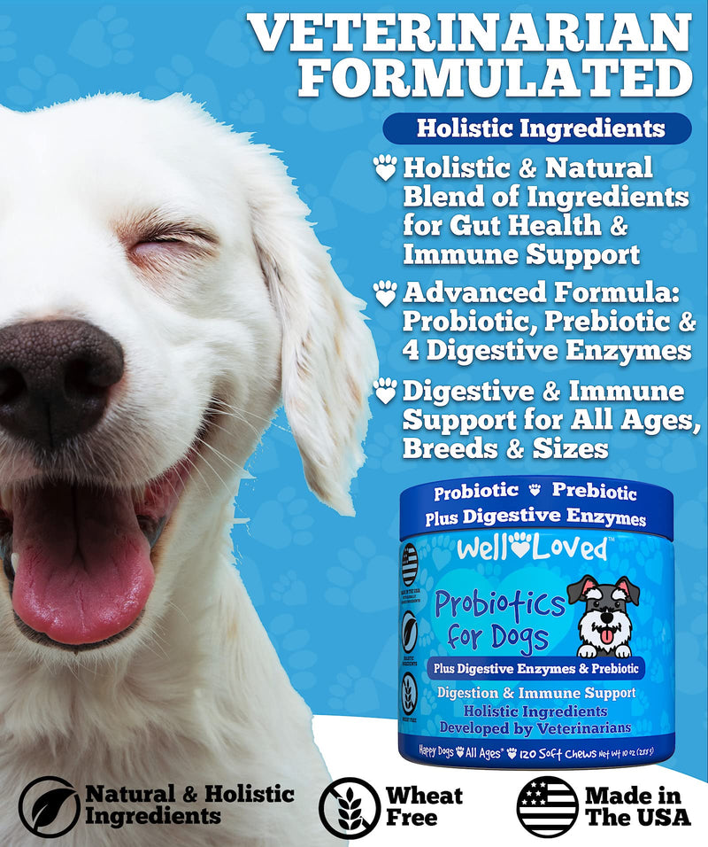 Probiotics for Dogs and Joint Supplement for Dogs, Well Loved Dog Chews, Made in USA, Vet Developed, Dog Probiotic Chews, Glucosamine for Dogs - PawsPlanet Australia