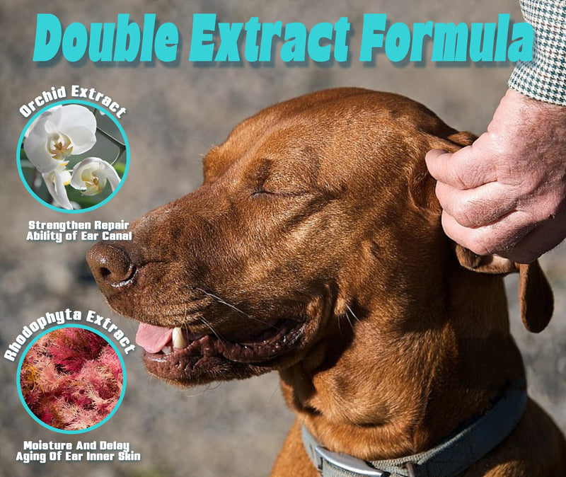 Ear Cleanser for Dogs and Cats, Pet Ear Wash Cleaning Solution with Orchid Extract Release Itching and Deodorize, Fragrance Free 200ml