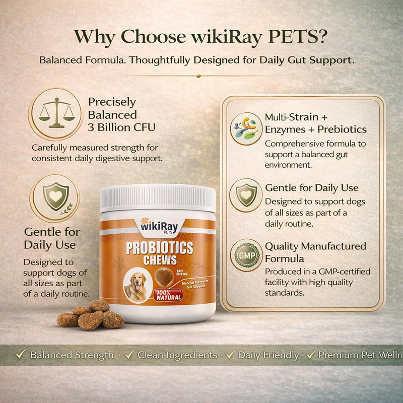 wikiRay Probiotics for Dogs – Soft Chews for Digestive Health & Immunity | 120 Chews | 3 Billion CFU, Pumpkin, Enzymes, Vitamins & Prebiotics | Made with Natural Ingredients