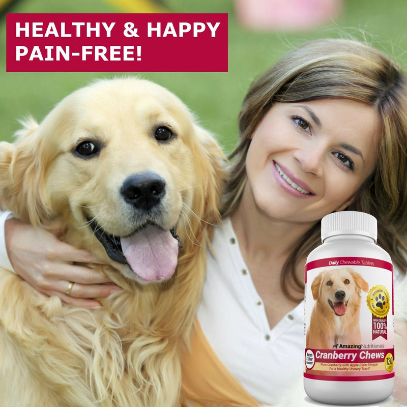 Amazing Cranberry for Dogs Pet Antioxidant, Urinary Tract Support Prevents and Eliminates UTI in Dogs, 120 Chews 1 Bottle - PawsPlanet Australia