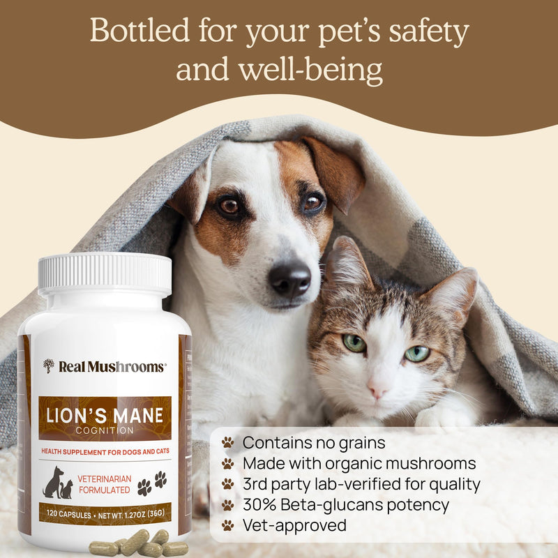 Real Mushrooms Lion’s Mane Pet Mushroom Supplement – Pet Wellbeing Capsules – for Cat & Dog Supplement & Vitamins – Support Mindful Routines – Organic, Vegan, Non-GMO, 120 Count Capsule
