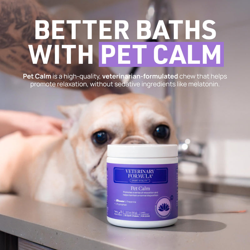 Veterinary Formula Clinical Care Dog Shampoo with Oatmeal and Tea Tree Oil, 16 oz – Gentle Shampoo for Dogs with Dry Skin, Soothes and Adds Moisture to Skin and Coat 16 Fl Oz - PawsPlanet Australia