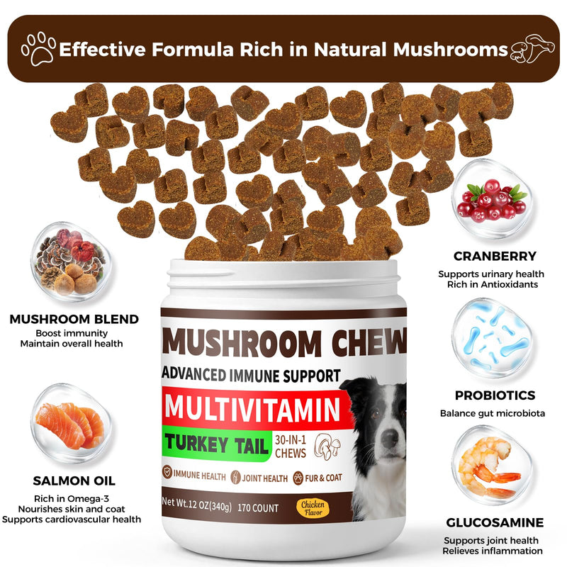 Turkey Tail Mushroom for Dogs, 170 Count Mushroom Chews for Dogs, Chicken Flavor Mushroom Supplements for Dogs, Immune Support, Joints Health, Skin & Coat, Lumps & Bumps Care Multivitamin