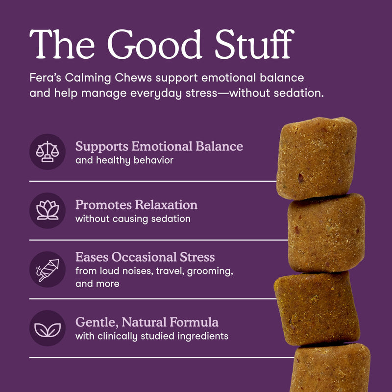 Fera Pets Dog Calming Chews - Helps Manage Everyday Stress & Separation - Promotes Relaxation - Ashwagandha & Priome® Mental Wellbeing Postbiotic Blend - 90 Soft Chews 90 Chews