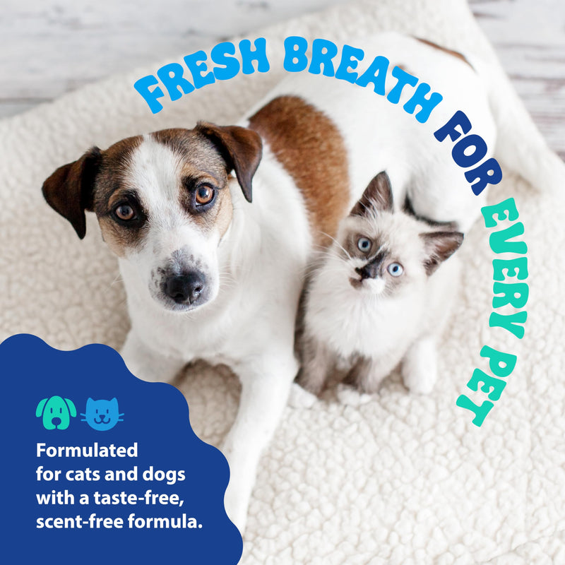 Dental Fresh Water Additive for Dogs and Cats, Clean Teeth and Fresh Breath, Daily Pet Oral Care, Flavorless, 32 fl oz 32 Fl Oz (Pack of 1)