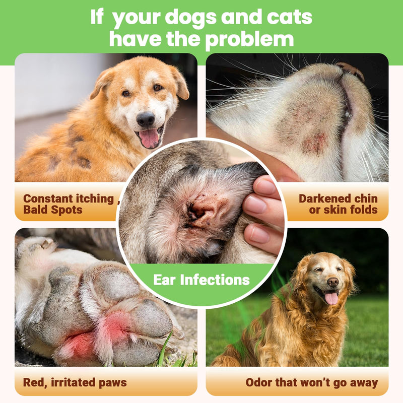 Yeast Infection Treatment for Dogs & Cats-Natural Fast Relief Drop for Itchy Skin, Ears & Paws Redness -Supports Allergy, Inflammation & Immune Health,2 fl oz Salmon Flavor (1 Pack) 1 Pack