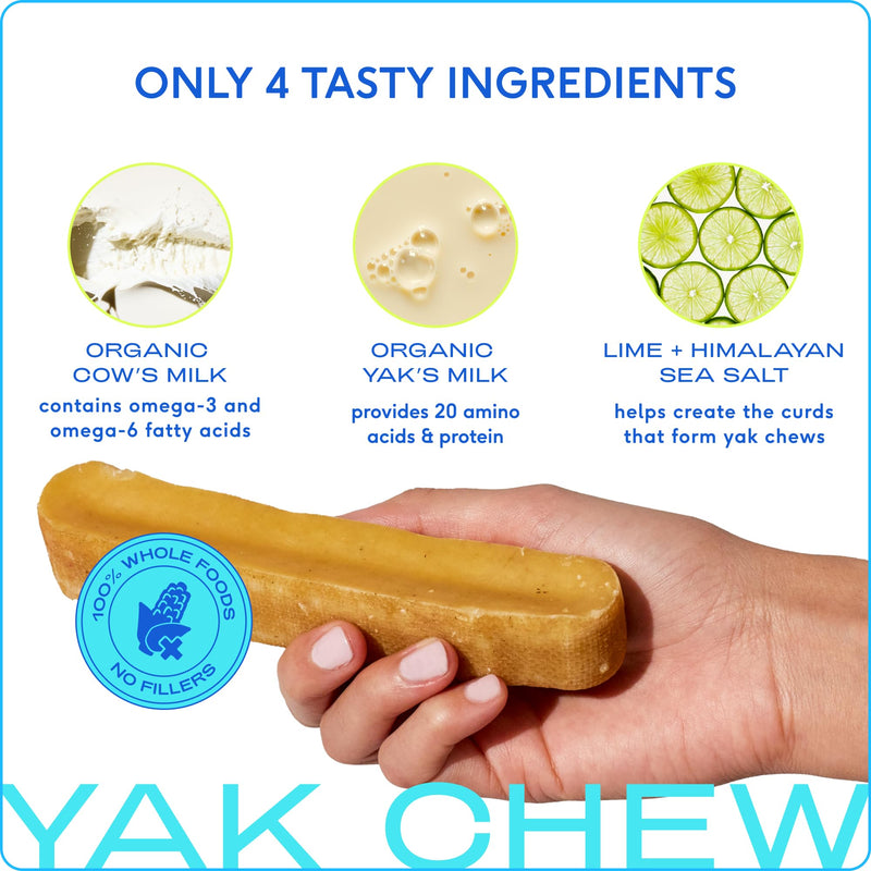 Native Pet Itch Relief & Dental Bundle: 60 Scoops GutWell Itchy Skin - Dog Itching Skin Relief & Seasonal Allergy Itch Relief & 3 Medium Yak Cheese Himalayan Dog Chews - Long Lasting Dental Sticks