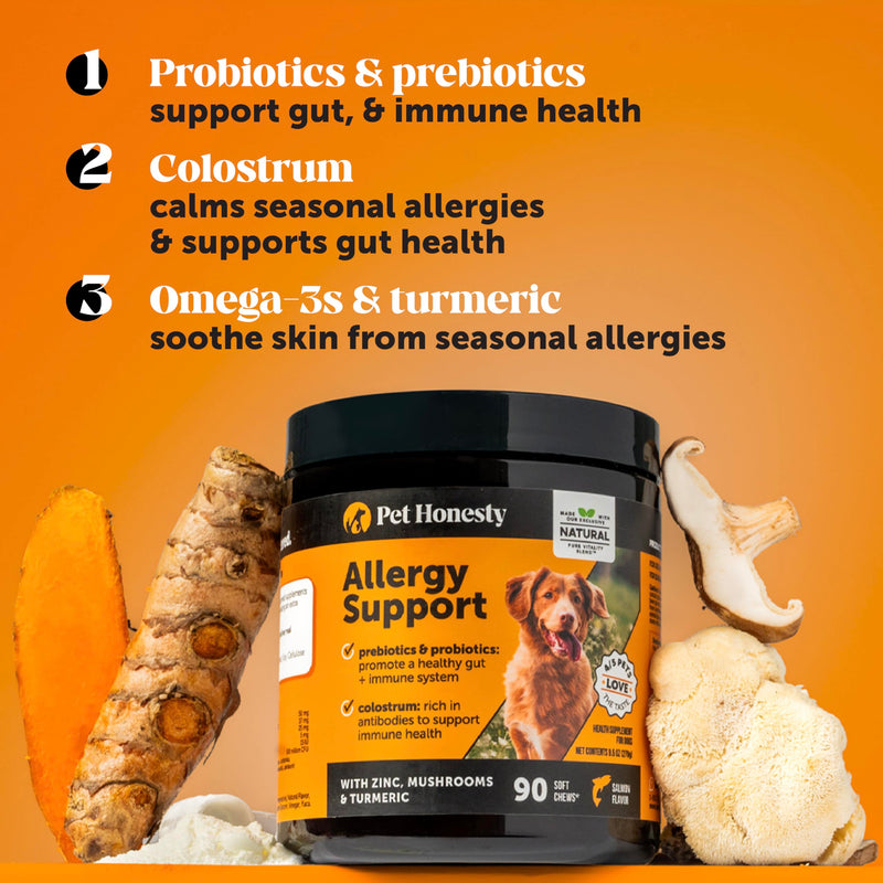 Pet Honesty Dog Wellness Virtual Bundle – Allergy Relief Immunity Chews (90 Ct) + Brush Buddies Dental Sticks (40 Ct) – Itch Support, Plaque & Breath Care
