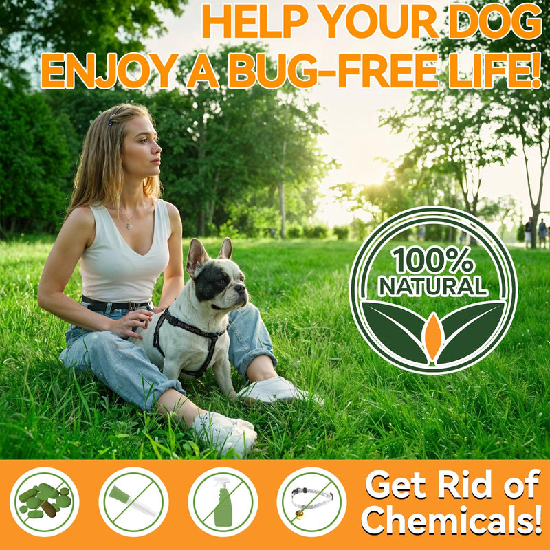 Probiotic & Flea Chews for Dogs - 200 Each - Natural Flea & Tick Prevention with Skin Support + Digestive, Gas & Immune Relief with Pumpkin & Enzymes - Chicken Flavor