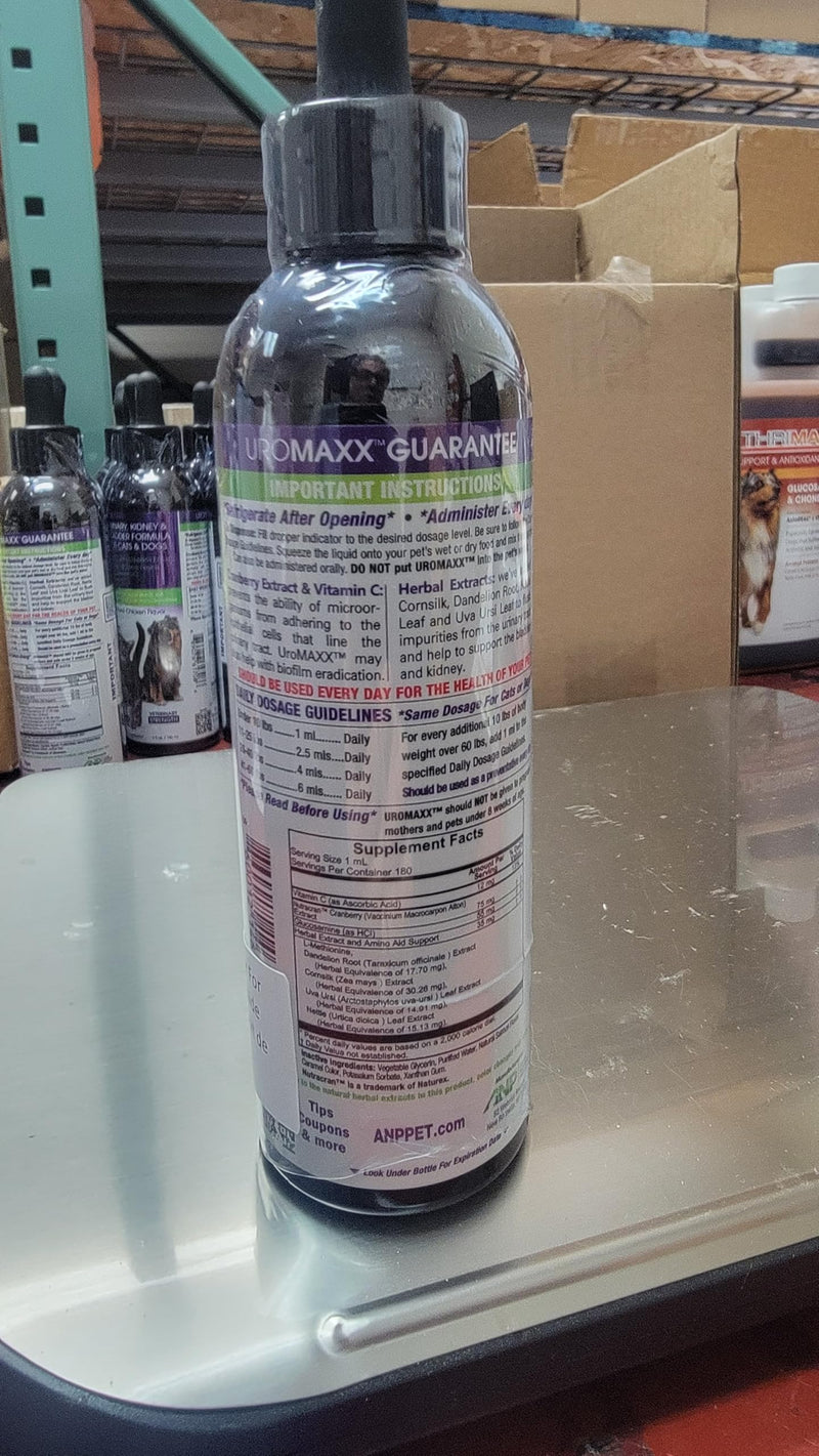 UroMAXX, Cat & Dog Urinary Tract Treatment, Bladder & Kidney Support for Dogs and Cats, Powerful Yet Gentle Pet Care, with Liquid Cranberry & Glucosamine, Salmon Flavor, 6 oz Bottle, 1 Pack
