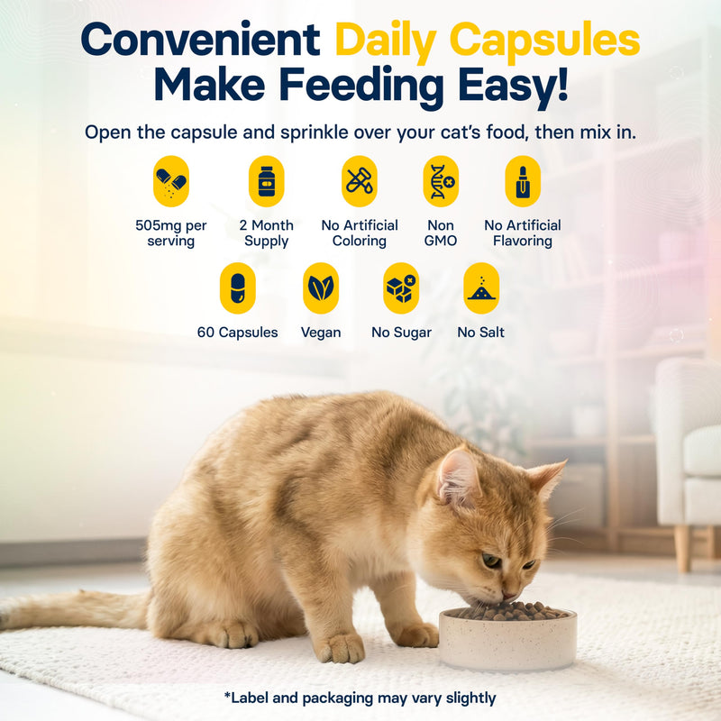 FiberSyl Prebiotics for Cats Digestive Health - Cat Fiber Supplements for Constipation Relief & Support - Psyllium Husk Seed to Support Digestion Problems - Cat Stool Hardener - 60 Capsules