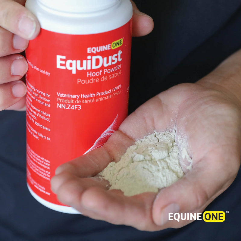EquiDust - Hoof Powder - Blend Natural Minerals - Dry Heel and Frog | Thrush (7 oz)