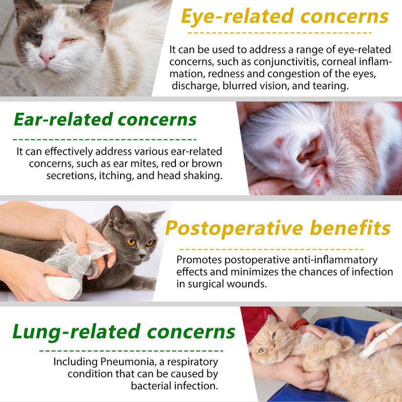Natural Antibiotics for Cats,2 PCS Cat Antibiotics- Cat Multivitamin is anti-bacterial effect antibiotics for cats,Supports Immune & Cats Allergy Relief,Health Supplies Cats UTI Antibiotics(60ml) - PawsPlanet Australia