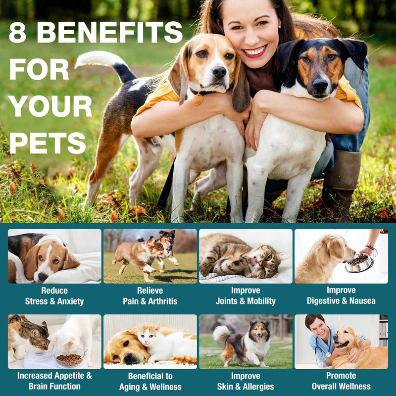 1 Packs Pet Неmр Oil for Dogs and Cats- Anxiеty, Stress Pain Holistic Inflammation Relief - for Joint Hip Аrthritis, Calming Oil Drop, Organic Pets Treats 1-Pack