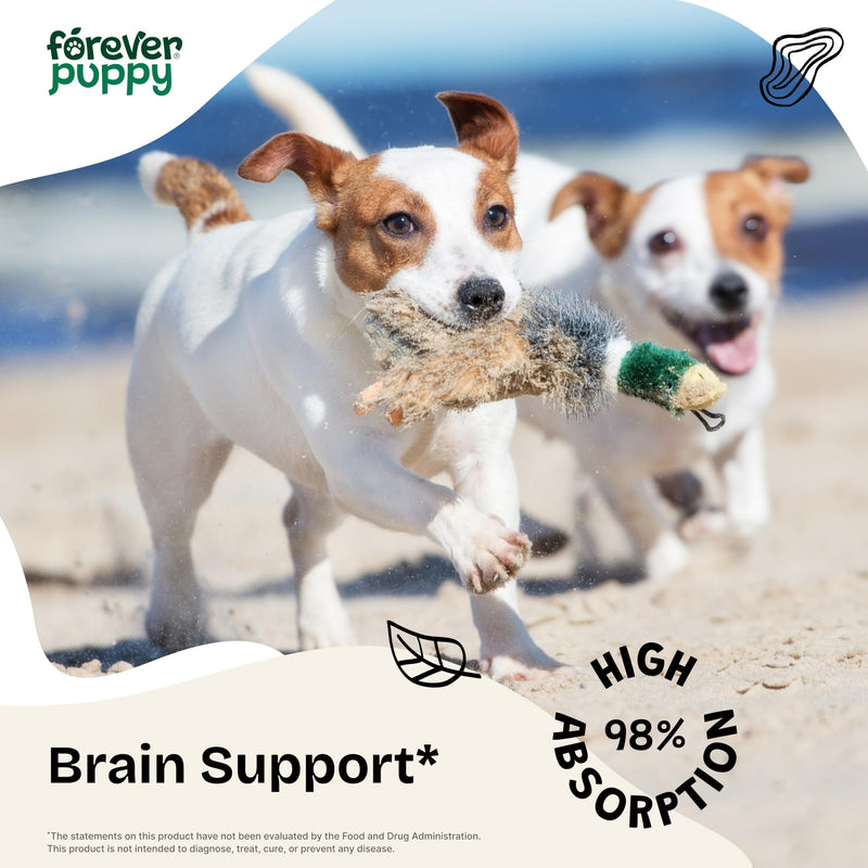 Forever Puppy Gotu Kola Drops for Dogs - Centella Asiatica & Gotu Kola Extract for Brain Health Support - Liquid Brain Supplement for Dogs of All Breeds & Sizes - 2 oz 2 fl oz