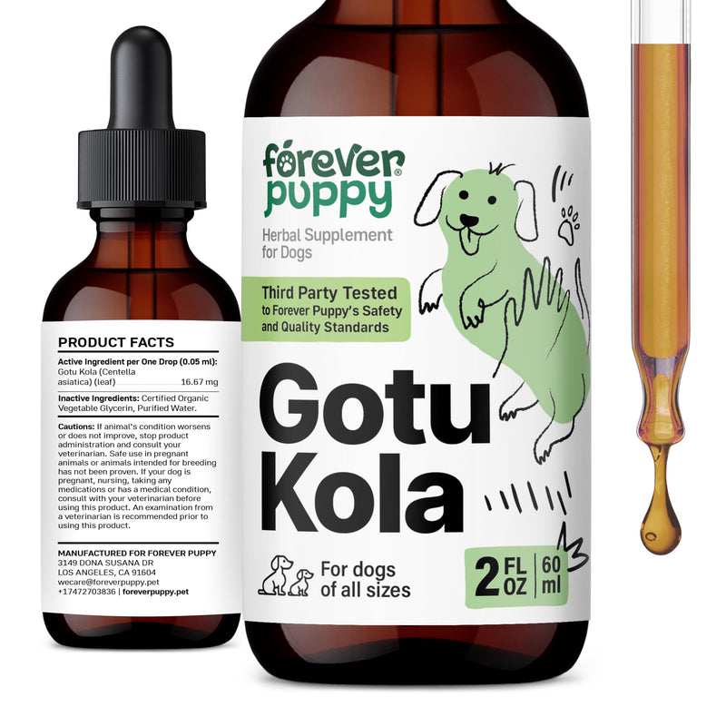 Forever Puppy Gotu Kola Drops for Dogs - Centella Asiatica & Gotu Kola Extract for Brain Health Support - Liquid Brain Supplement for Dogs of All Breeds & Sizes - 2 oz 2 fl oz