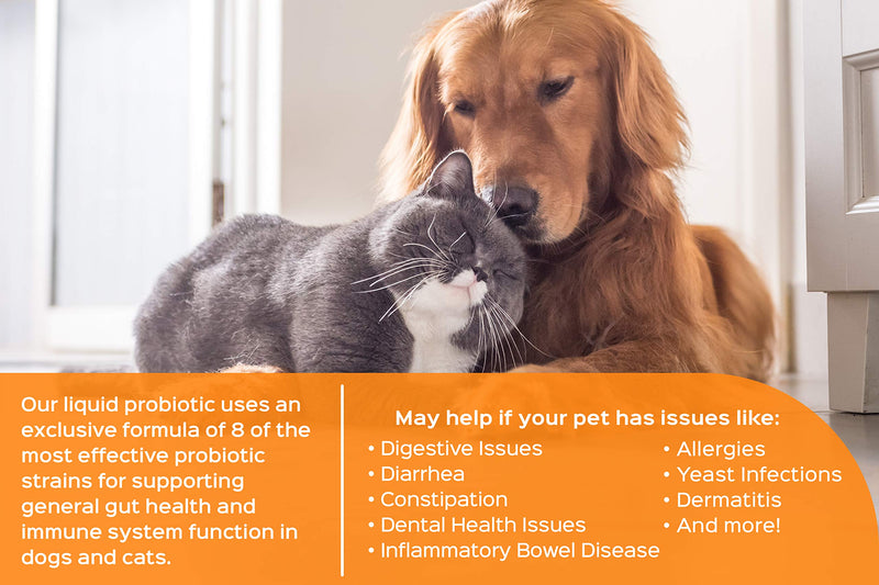 Humarian Probonix Cat Probiotic Drops - 8-Strain Probiotics for Cats to Support Gut Health, Dental Health and More - 45 Billion CFUs - 40-Day Supply - Liver Flavor