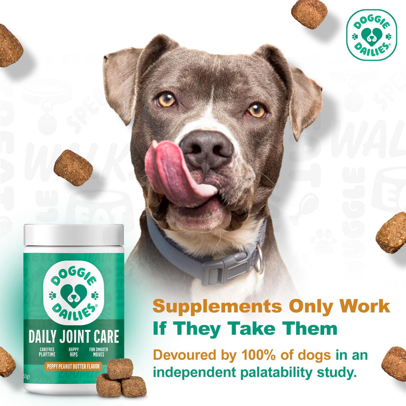 Doggie Dailies, Hip and Joint Supplement for Dogs, Glucosamine Chondroitin, Premium Hip and Joint Chews for Dogs All Breeds & Sizes, Dog Vitamins and Supplements, (Peanut Butter) 225 Chews Peanut Butter - 225 Count