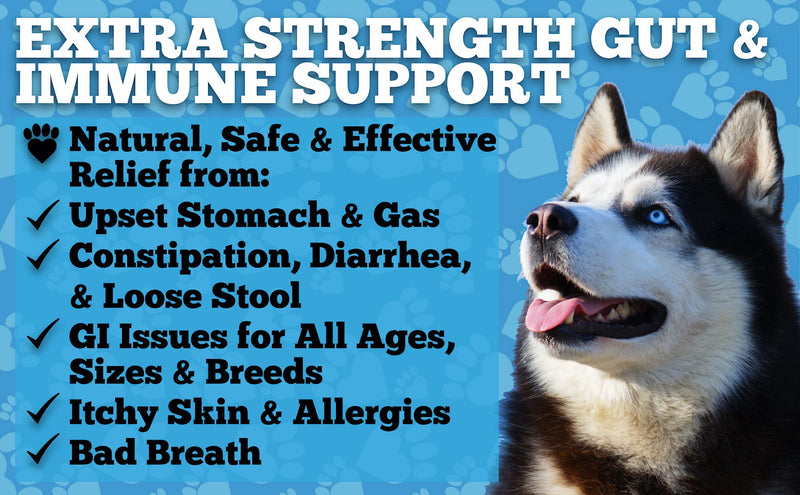 Well Loved Probiotics for Dogs - Dog Probiotics and Digestive Enzymes, Made in USA, Vet Developed, Dog Probiotic Chews with Prebiotics, Diarrhea Treatment, for Itchy Skin, Gut Health & Gas Relief - PawsPlanet Australia