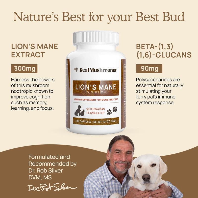 Real Mushrooms Lion’s Mane Pet Mushroom Supplement – Pet Wellbeing Capsules – for Cat & Dog Supplement & Vitamins – Support Mindful Routines – Organic, Vegan, Non-GMO, 120 Count Capsule