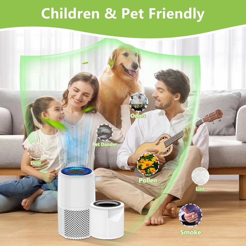 AP103 Replacement Filter Compatible with AromaRoom AP103 Air Purifiers Basic Filter 2-Pack