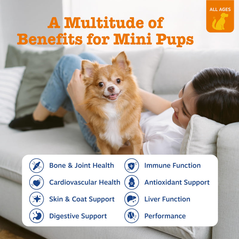 Zesty Paws Dog Multivitamin, Chewable Dog Vitamins and Supplements for Hip & Joints, Skin & Coat, Omega 3 Fish Oil for Dogs- Senior & Puppy Multivitamin - Chicken Mini Bites- 90ct Chicken - Mini 90 Count (Pack of 1)