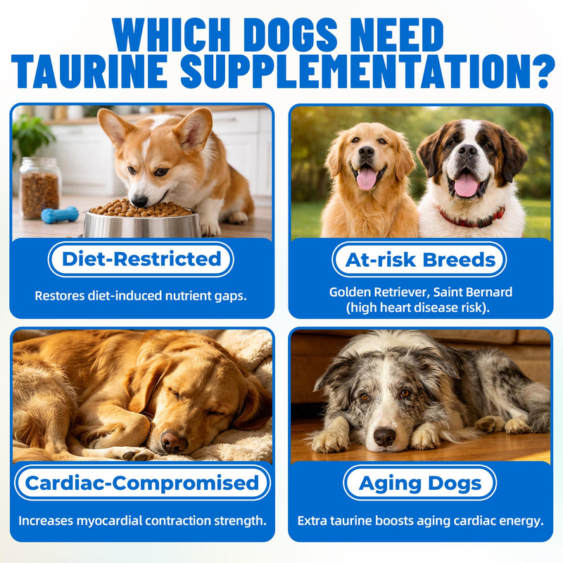 Just Try 10.58 OZ Taurine Supplement Coq10 for Dogs with L-Carnitine & Coenzyme Q10 Support Dog Heart, Immune and Eyes Health 10.58 Ounce