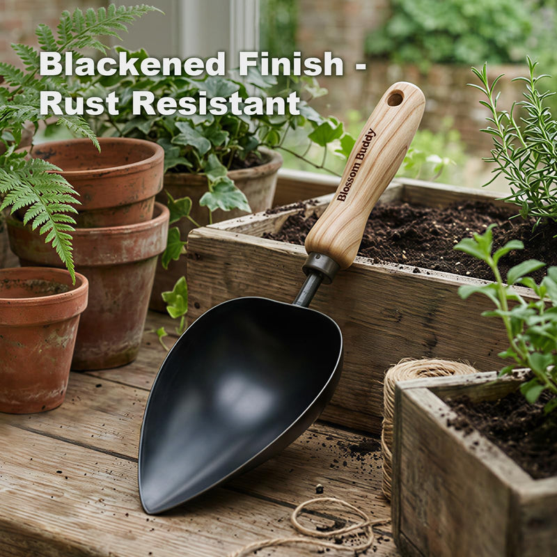 Garden Hand Scoop, Black Stainless Steel with Wood Handle, Traditional Style Heart-Shaped Planting Spade