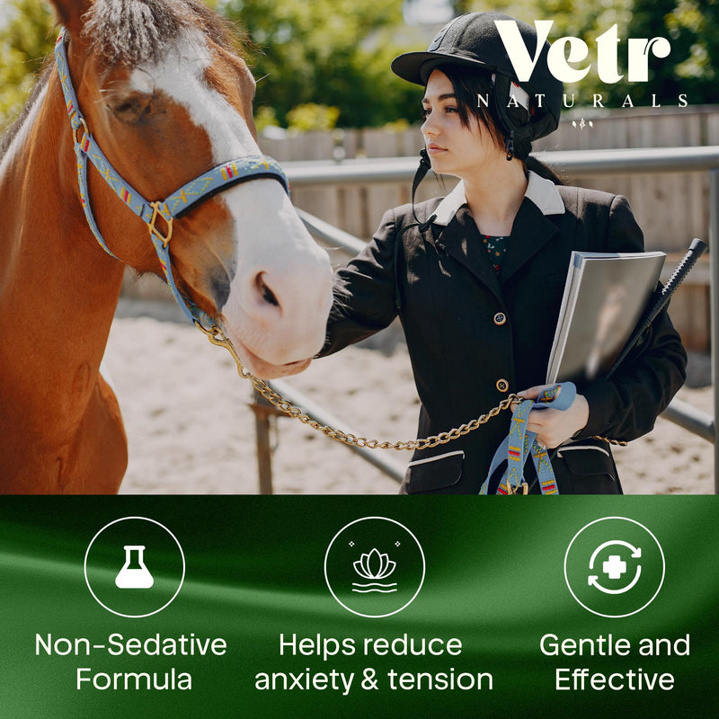 VetrChill Calming Gel for Horses - Apple Flavored Oral Supplement with L-Theanine and Melatonin - Supports Relaxation and Focus - Single Tube - Vet-Formulated in USA