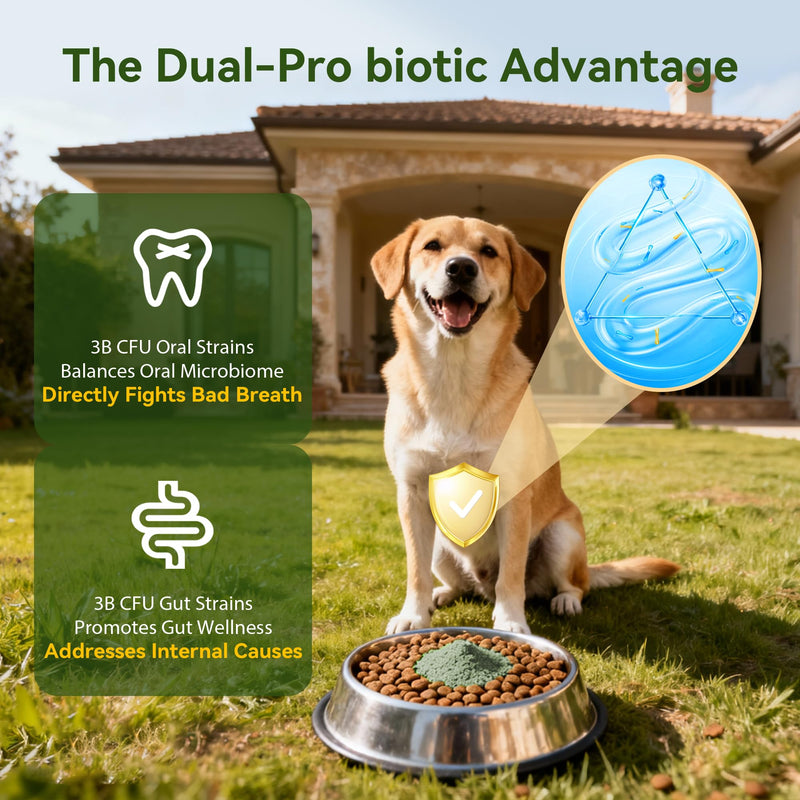 Dog Dental Powder for Plaque and Tartar Support - No Brushing Teeth Cleaning Powder with Probiotics & Natural Kelp | Fresh Breath Dog Oral Care for All Breeds | 1.76oz (50g) 1.76 oz