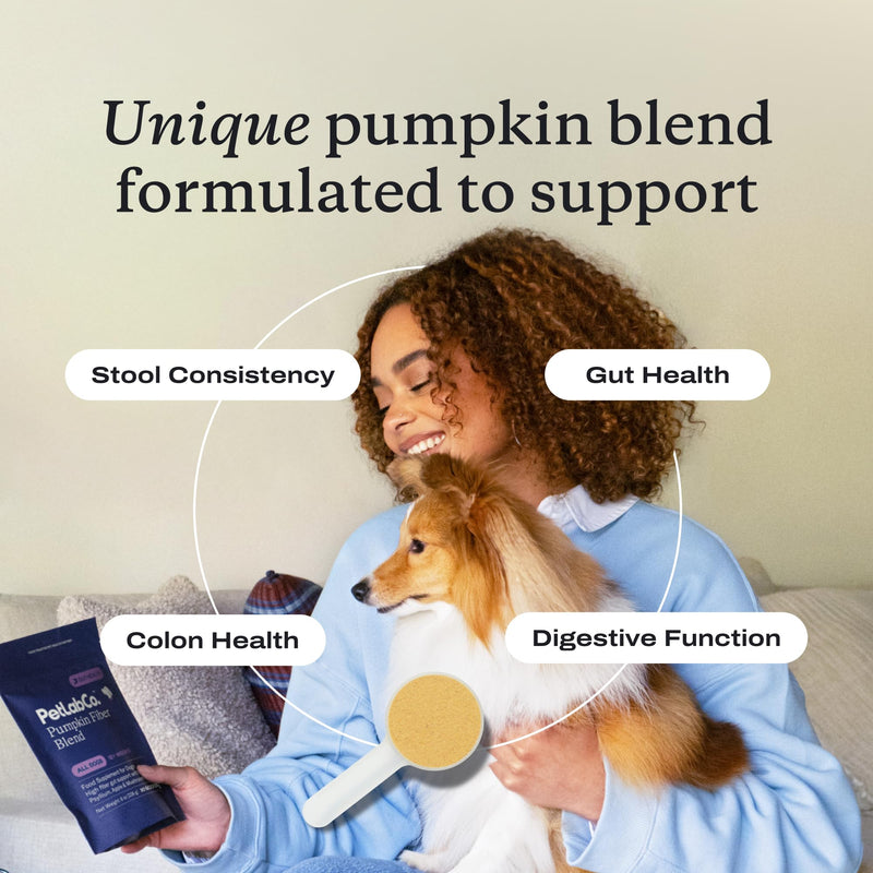 PetLab Co. – Gut & Digest Daily Duo: Pumpkin Powder Blend for Easy Digestion & Firm Stools for Small/Medium/Large Dogs & Salmon‑Flavoured Probiotic Chews to Support Gut & Immune Balance – Easy to Use