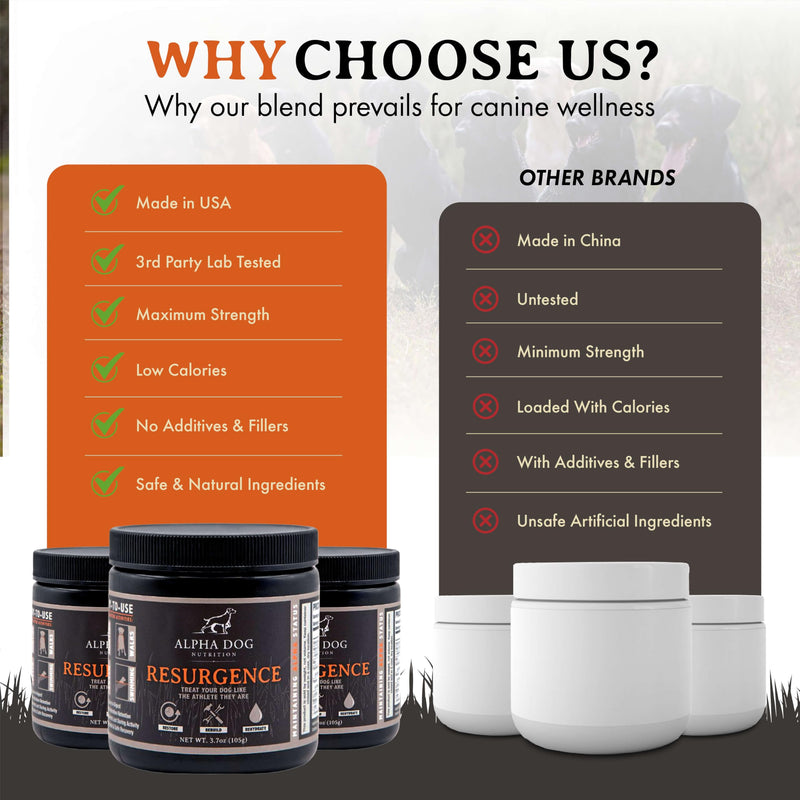 Resurgence Dog Electrolytes by Alpha Dog Nutrition | Promote Dog Hydration, Increase Stamina, and Boost Recovery | Electrolyte Water Additive or Food Topper to Prevent Dehydration with Beef Flavoring - PawsPlanet Australia