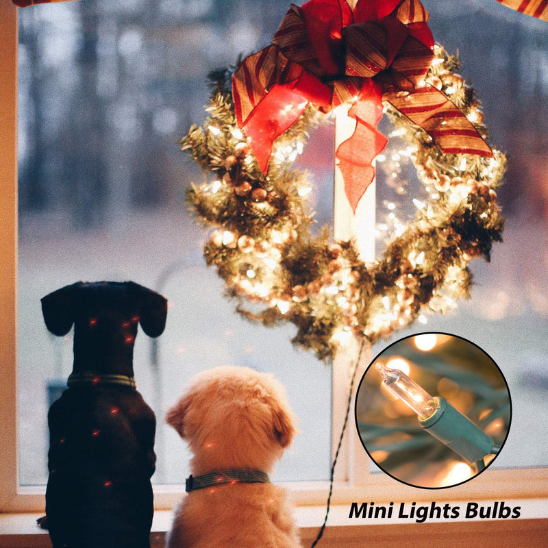 Clear Christmas String Lights 100 Count 25 Feet Incandescent Bulb Mini Lights for Indoor Xmas Tree Garland Birthday Wedding Party Festival Decoration, Green Wire Clear Warm White