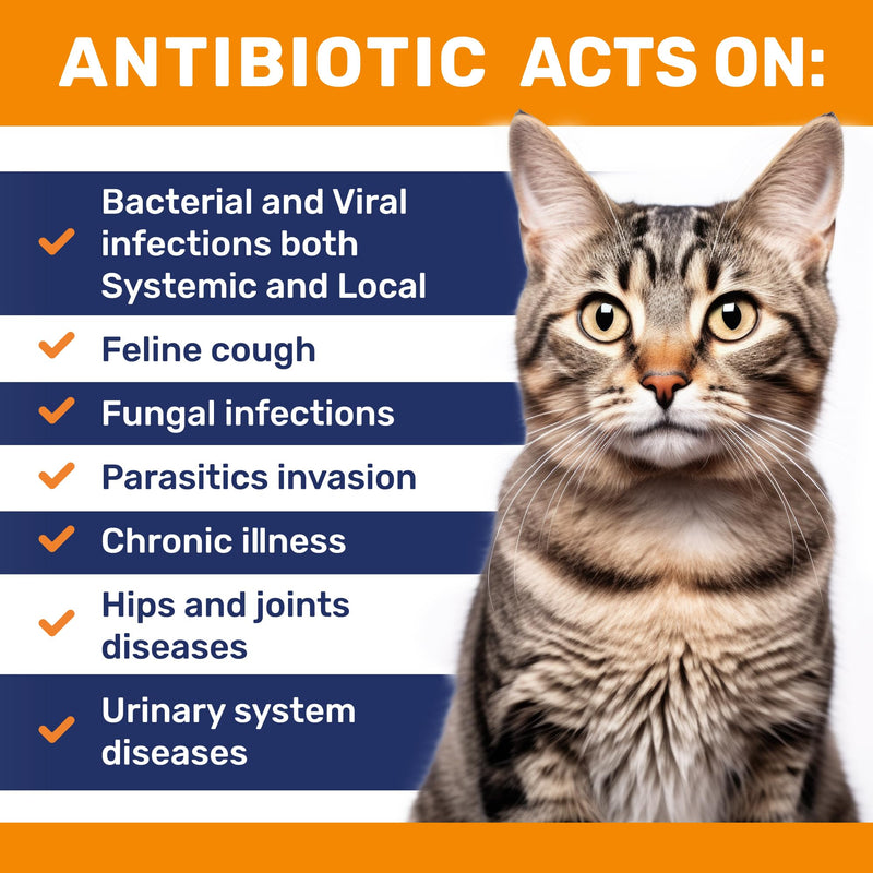Antibiotics for Cats ◆ Cat Antibiotic ◆ Natural Antibiotics for Cats ◆ Cat Antibiotics ◆ Antibiotic for Cats ◆ Cat Multivitamin ◆ Pet Antibiotic ◆ 2 Oz 2 Fl Oz