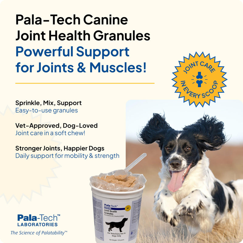 Canine Joint Health Granules - Joint Supplement for Dogs with MSM & Creatine - Glucosamine for Dogs - Promotes Hip & Joint Health -720 gm