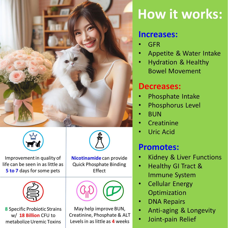 12-in-1 Kidney Support for Dog & Cat with NMN & Fisetin - Super Phosphate Binder Kidney and Liver Supplement for Feline, Canine Healthy Aging & Longevity (60 Capsules) 60 Capsules - PawsPlanet Australia