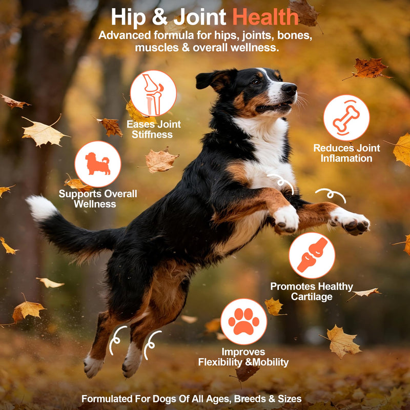 Hip and Joint Supplement Powder for Dogs Glucosamine for Dogs, Dog Arthritis Vitamins for Hip and Joint Pain Relief Contains Glucosamine Chondroitin MSM Vitamin E for All Breeds and Sizes 0.15 KG Beef