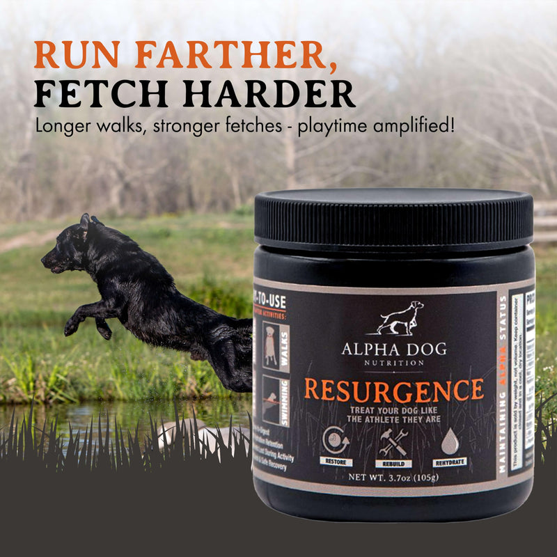 Resurgence Dog Electrolytes by Alpha Dog Nutrition | Promote Dog Hydration, Increase Stamina, and Boost Recovery | Electrolyte Water Additive or Food Topper to Prevent Dehydration with Beef Flavoring - PawsPlanet Australia